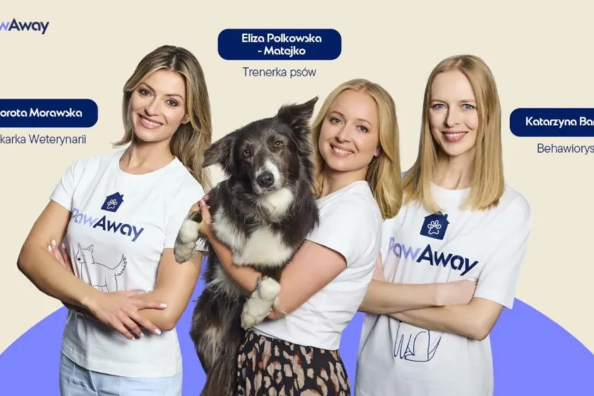 Warszawa przyjazna psom – opieka nad psem i petsitter w stolicy