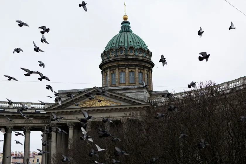 Ochrona kościołów i obiektów sakralnych przed ptakami w Warszawie